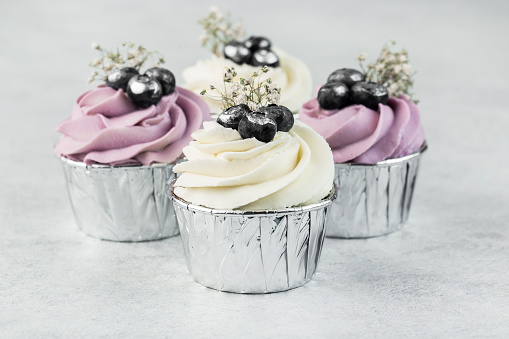 Vanilla cupcakes decorated with cream cheese frosting and fresh blueberries on a white background