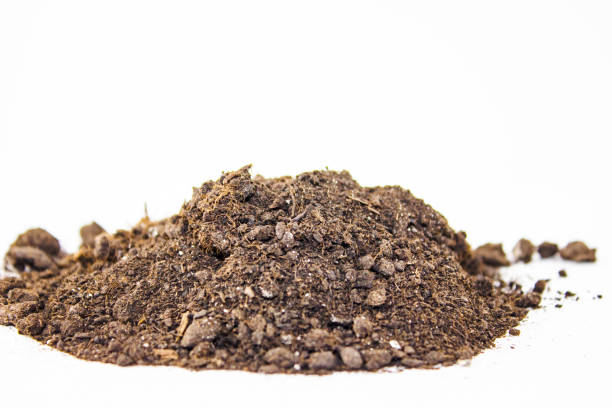 istock Earth,soil on a white background isolated.Soil on a white background. 1415258535