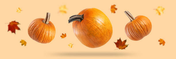 Autumn pumpkin orange background
