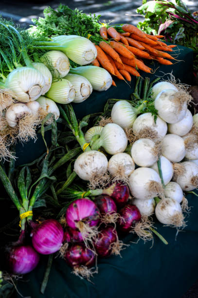 Carrots, celery, and onions for sale at a produce stand. stock photo