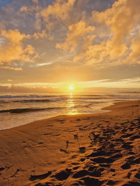 магия солнца - costa rican sunset стоковые фото и изображения