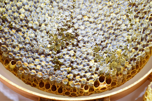 inside beehive