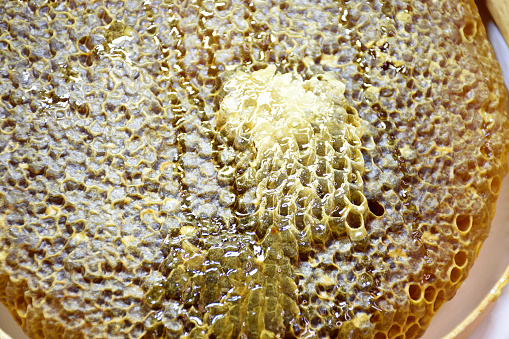 Honeycomb honey, beehive frame, close-up honeycomb