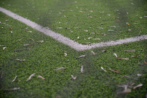 photo of a football field behind a net, lines on a football field, football field goal, football field goal net soccer game artificial grass