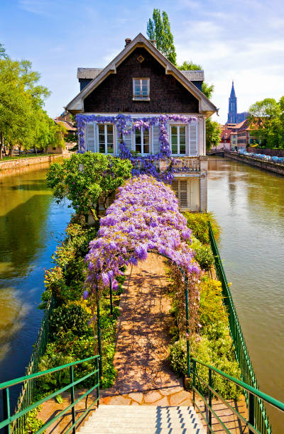La Maison des Ponts Couverts in Strasbourg, Alsace, France Strasbourg, France - May 6, 2013: The beautiful house La Maison des Ponts Couverts (English: House of Ponts Couverts bridge) in Strasbourg city, Alsace, France. Beautiful springtime view. Water canals of Ill river on background petite france strasbourg stock pictures, royalty-free photos & images