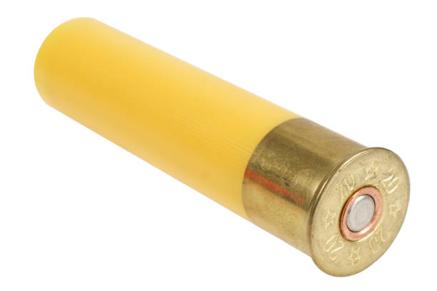 노란색 샷건 20 게이지 카트리지 - bullet belt ammunition cartridge 뉴스 사진 이미지