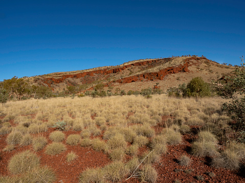 The Pilbara red rocks and spinifex