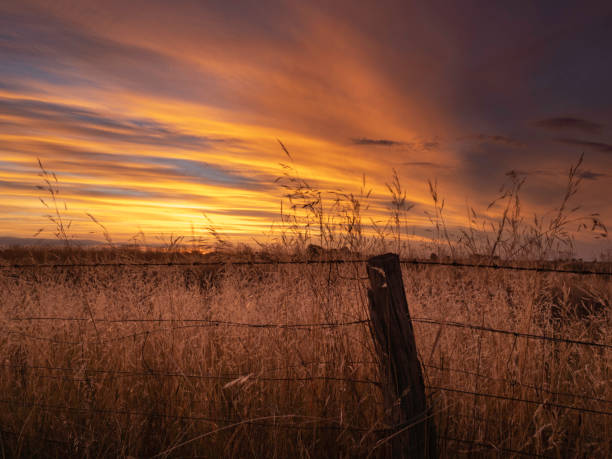 dramatic sunset over paddock - barbed wire rural scene wooden post fence imagens e fotografias de stock