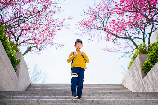 A boy walking on steps with backpack