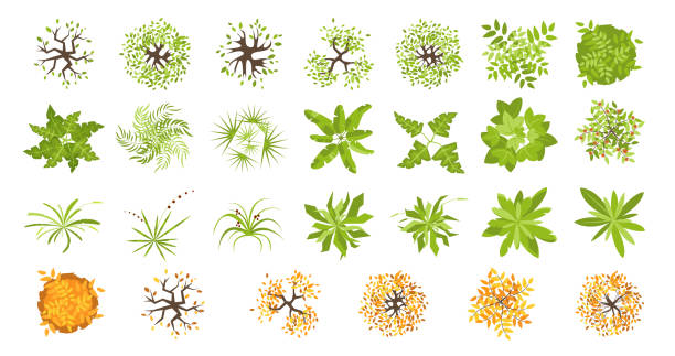 istock Trees and plants top view for landscape design. Icon set of colored trees and grass for architectural map, plan. Green space. Element isolated on white. Vector illustration. Kit for design project 1415275519