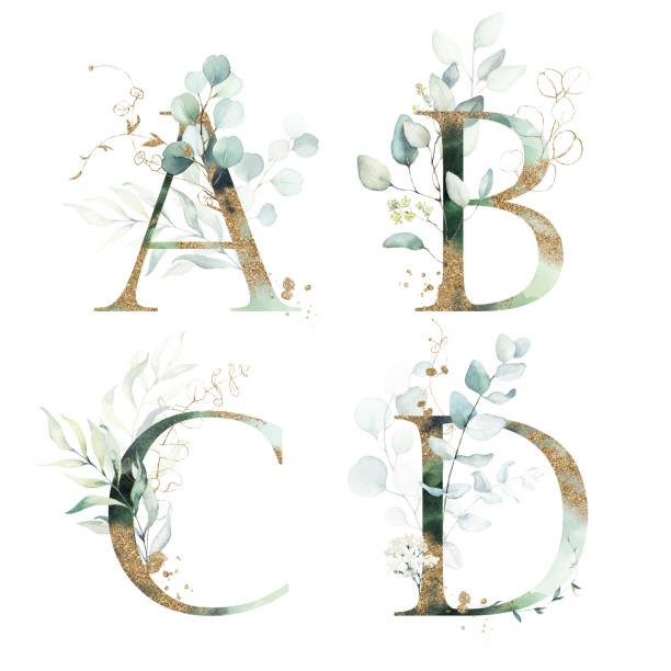 Watercolor Gold Green Floral Alphabet Letter Sign Set - capital A, B, C, D with white gold green botanic flower branch bouquet composition. Watercolor Gold Green Floral Alphabet Letter Sign Set - capital A, B, C, D with white gold green botanic flower branch bouquet composition. Unique collection for wedding invites decoration, birthdays & other concept ideas. b c stock illustrations