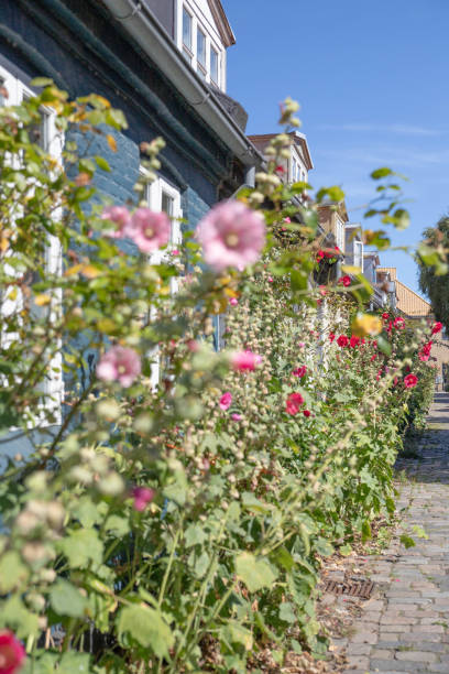 istock The beautiful old street in Aarhus, Denmark 1415279937