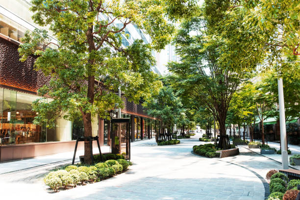 Office Street and Roadside trees