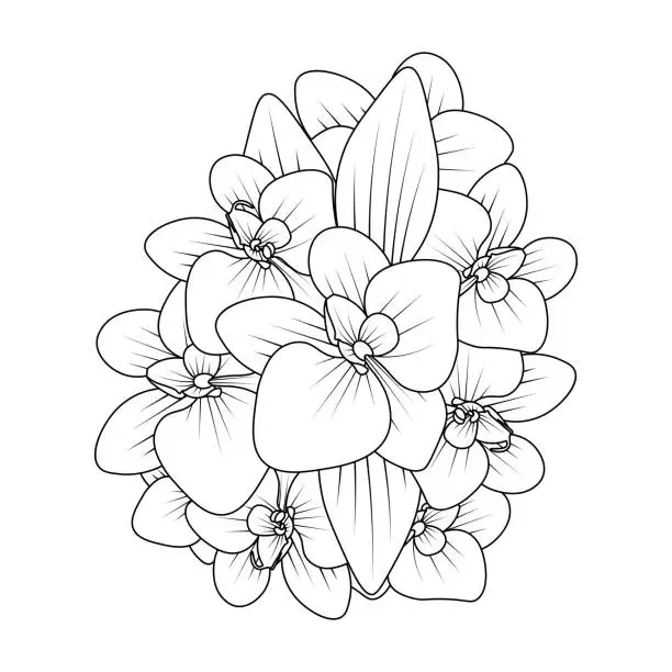 Vector illustration of orchid flower outline line coloring page of easy sketches hand drawing design