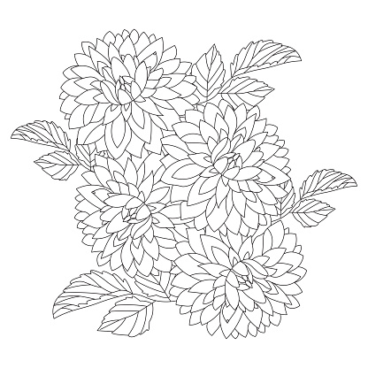 Dahlia Flower Illustration With Pencil Stroke In Doodle Art Design Of ...