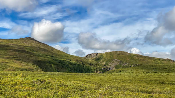 istock Views of central Alaska from the Denali highway 1415288840