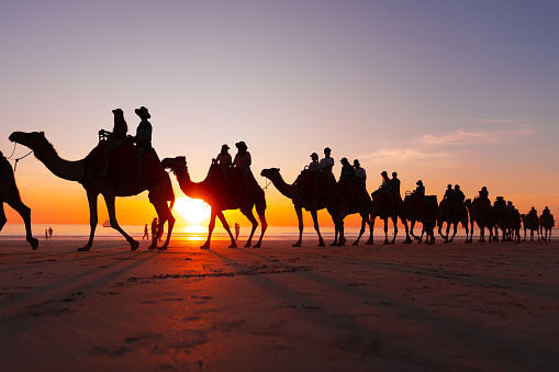 Sunset camel ride on Cable Beach, Broome, Western Australia