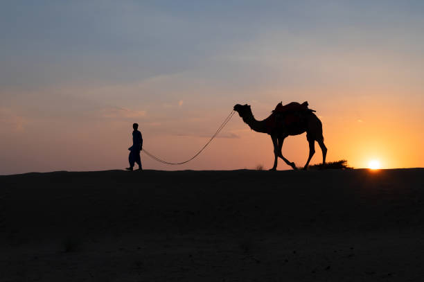 istock Silhouette of a young cameleer leading a camel into sand dunes 1415288976