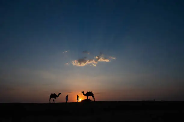 Silhouette of two cameleers and their camels at sand dunes of Thar desert, Rajasthan, India. Cloud with setting sun, sky in the background. Cameleers make a living out of camel riding by tourists.