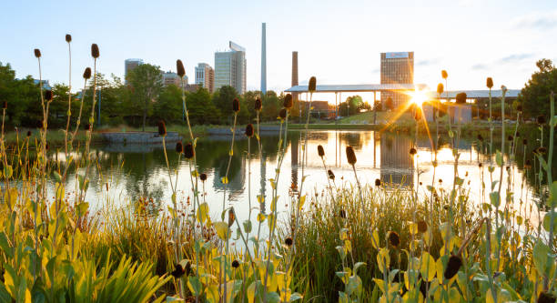 Sunrise at Railroad Park, Birmingham AL Photograph of Railroad Park in Birmingham, AL at surise alabama stock pictures, royalty-free photos & images