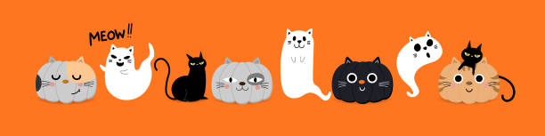 ilustrações, clipart, desenhos animados e ícones de personagem de desenho animado de halloween. fantasma de gato bonito e abóbora em traje de gatinho. - vetor - silhouette animal black domestic cat