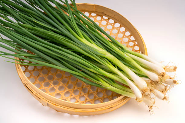 istock Fresh spring onion in bamboo basket isolated on white background, Green onion on White Background. 1415296196