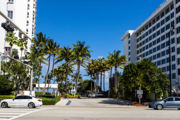 istock Miami beach. Palms and tropical city 1415298541