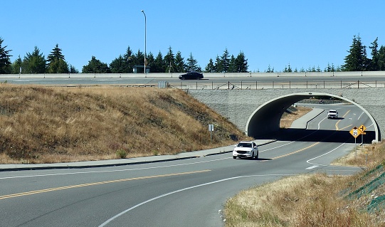 A well engineered over pass and under pass for cars