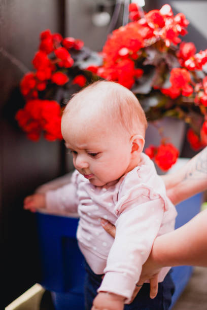 Little newborn baby girl sleeping in a bassinet with a rose near her face. Close-up portrait of a just born baby. Baby care concept