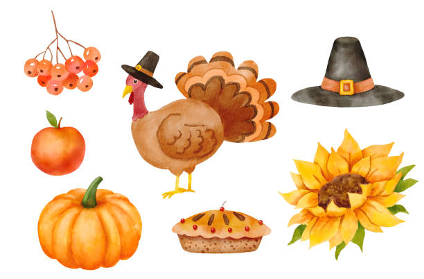 Watercolor thanksgiving turkey. Cute turkey in a pilgrim hat. Childish character isolated on white background Watercolor thanksgiving turkey. Cute turkey in a pilgrim hat. Childish character isolated on white watercolor thanksgiving stock illustrations