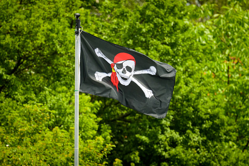A pirate flag on a white pole, outdoors, green background