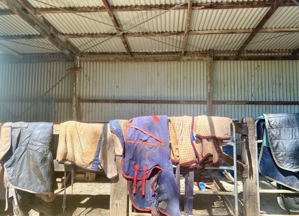 Horse Rugs Hanging on Wood Stable stock photo