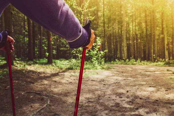 バックパックとトレッキングスティックを持つ女性のバックビュー。ノルディックウォー。ハイキング。秋の自然の周りと前進。旅行コンセプト。 - nordic walking walking relaxation exercise women ストックフォトと画像