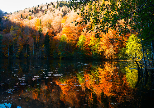 Peak autumn colors near Concord, New Hampshire in Merrimack County