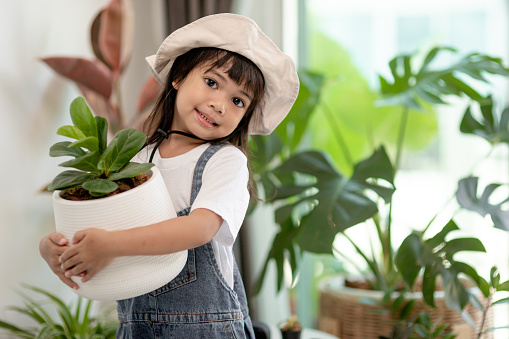 Potted plants at home held by a cute kid