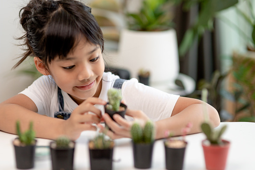 kid gently touch new stem of the cactus he grows with care, one hand holds magnifying glass.Nature education, Montessori and observation skills concept.