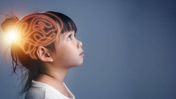 脳神経系の概念.科学は子供たちが勉強し、学ぶべきものです。子供の思考プロセスと心理学。 - 天才 ストックフォトと画像
