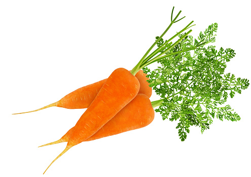 Ripe carrot pile with green leaves isolated on white background