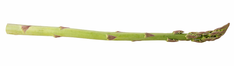 Asparagus isolated on white background. Clipping path