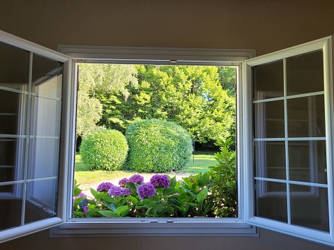 Window opening onto the sunny garden
