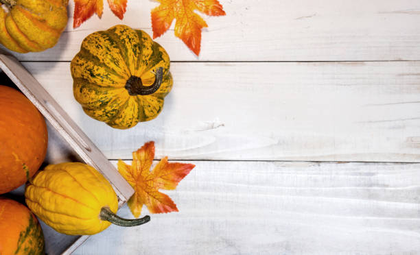 秋の収穫の豊かさ。ハロウィーンと感謝祭のための秋の季節のカボチャの果物。 - color image thanksgiving photography harvest festival ストックフォトと画像