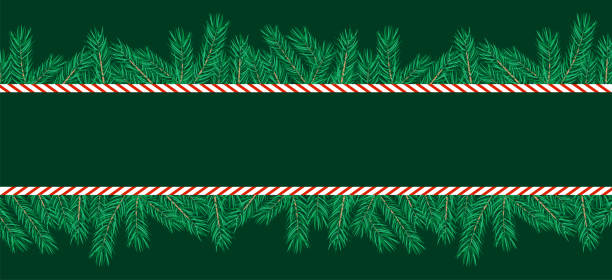 obramowanie wykonane z gałęzi choinki i trzciny cukrowej. poziomy, pusty baner. ilustracja wektorowa. - christmas holiday vacations candy cane stock illustrations