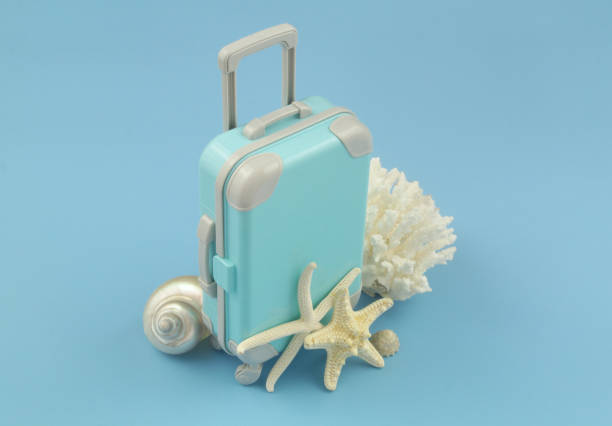 Travel suitcase with starfishes, seashells and coral. stock photo