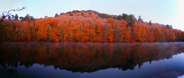 Autumn landscape in (seven lakes) Yedigoller Park Bolu, Turkey