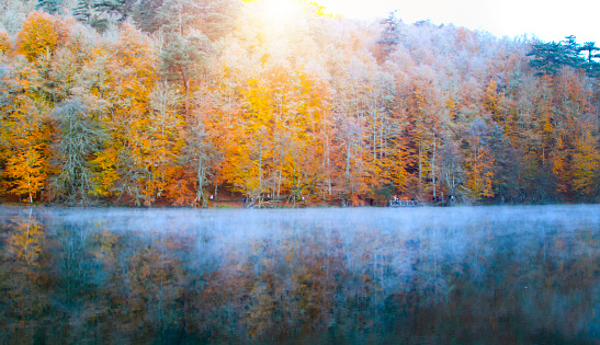 Autumn landscape in (seven lakes) Yedigoller Park Bolu, Turkey