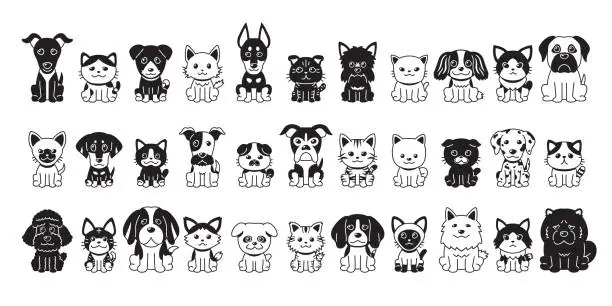 Vector illustration of Different type of vector cartoon cats and dogs
