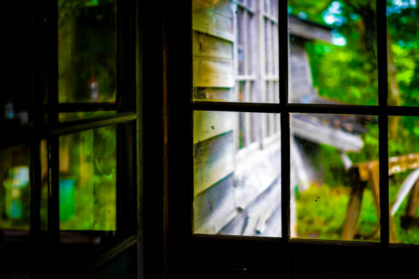 istock New greenery seen from dark room 1415341499