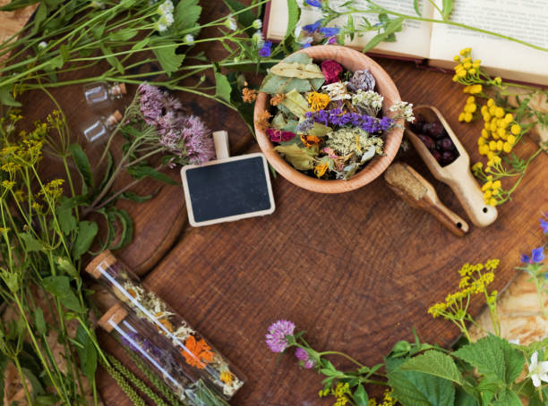 istock Frame homeopathy and herbal medicine concept 1415341514