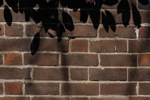 Section of an old brick wall that has been damaged over time. Shadows from nearby trees decorate the top part.