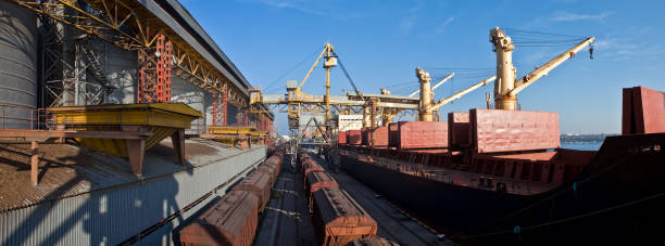 Carga de grano en bodegas de buques de carga marítima en puerto marítimo desde el almacenamiento de granos. - foto de stock